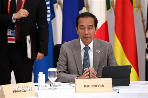 Tổng thống Indonesia Joko Widodo. (Ảnh: AFP/TTXVN)