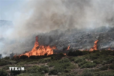 Hy Lạp: Bệnh viện sơ tán bệnh nhân khẩn cấp do cháy rừng lan rộng