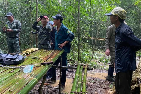 Đồng Nai: Tìm kiếm người đàn ông đi lạc nhiều ngày trong rừng Cát Tiên