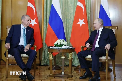 Nga tuyên bố về khả năng trở lại Thỏa thuận Ngũ cốc Biển Đen