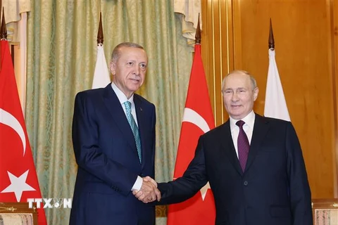 Nga-Thổ Nhĩ Kỳ đạt thỏa thuận về 1 triệu tấn ngũ cốc cho châu Phi