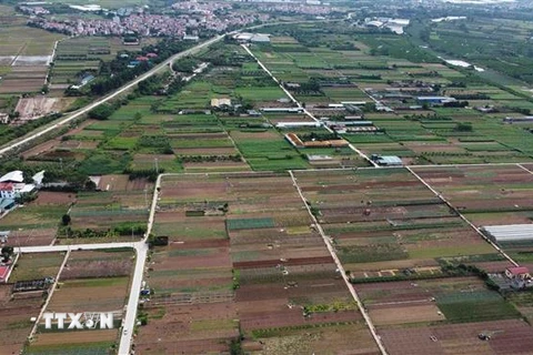Hà Nội chuyển đổi gần 300ha đất nông nghiệp sang phi nông nghiệp