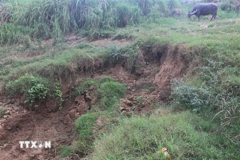 Thanh Hóa: Bờ tả sông Bưởi tiếp tục sạt lở, đe dọa 22 hộ dân