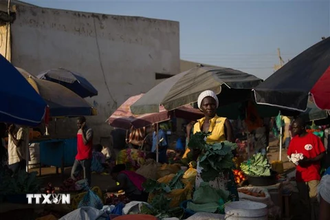 Khu vực châu Phi cận Sahara đối mặt với một “thập kỷ mất mát” 
