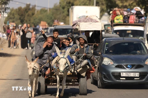 EU: Không thể sơ tán hơn 1 triệu người Palestine tới phía Nam Gaza