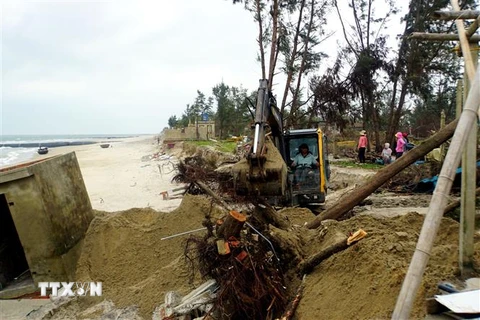 Quảng Nam: Sạt lở bờ biển nghiêm trọng, di dời hộ dân đến nơi an toàn