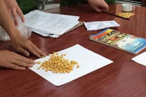 Lạng Sơn: Bắt 10 đối tượng đánh bạc dưới hình thức “gạt hạt ngô”