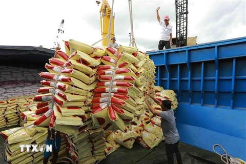 Vận chuyển gạo xuất khẩu của Tập đoàn Lộc Trời tại Tân cảng Thốt Nốt, thành phố Cần Thơ, Việt Nam. (Ảnh: Vũ Sinh/TTXVN