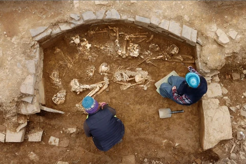 Các nhà khảo cổ phát hiện 14 bộ xương người tiền sử trong một hầm mộ cổ ở quần đảo Orkney, phía Đông Bắc Scotland. (Ảnh: National Museums Scotland)