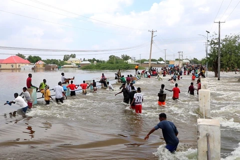 Người dân sơ tán khỏi vùng ngập lụt tại Hiran, Somalia ngày 15/11/2023. (Ảnh: AA/TTXVN)