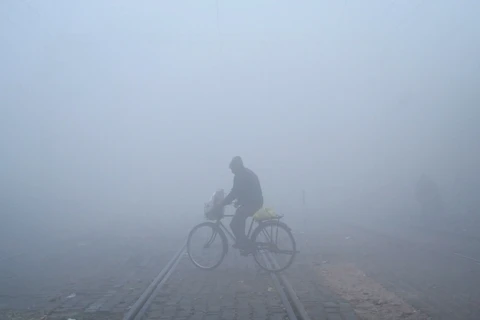 Sương mù dày đặc tại Amritsar, Ấn Độ. (Ảnh: AFP/TTXVN)