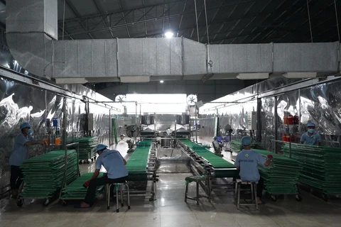 Dây chuyền sản xuất bánh tráng siêu mỏng đạt chuẩn OCOP tại Công ty TNHH Tân Nhiên, Tây Ninh. (Ảnh: Thanh Tân/TTXVN)