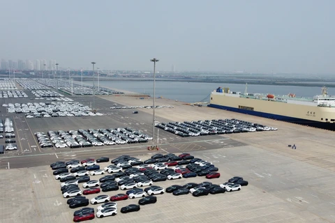 Ôtô chờ được xuất khẩu tại cảng Thiên Tân, Trung Quốc. (Ảnh: THX/TTXVN)