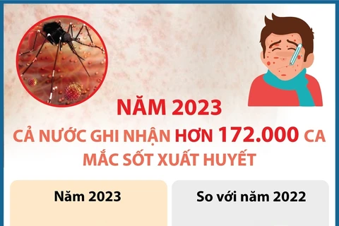 Năm 2023: Số ca mắc sốt xuất huyết giảm nhưng dịch bệnh diễn biến bất thường