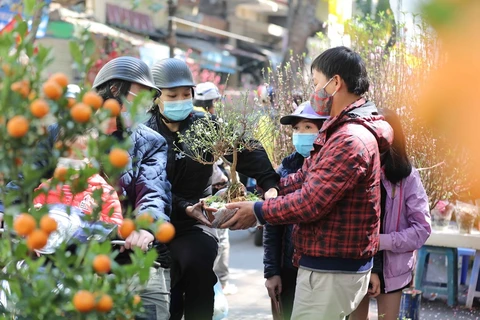 Thời tiết tại Bắc Bộ đã ấm lên sau những ngày nhiệt độ giảm sâu, thuận tiện cho người dân đi sắm Tết. (Ảnh: Thanh Tùng/TTXVN)