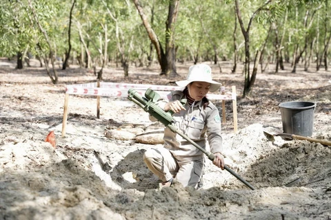 Hiện trường hầm chứa đạn được phát hiện trong rừng cây phi lao ở thôn An Mỹ, xã Gio Mỹ, huyện Gio Linh, tỉnh Quảng Trị. (Ảnh: NPA/RENEW - TTXVN phát)
