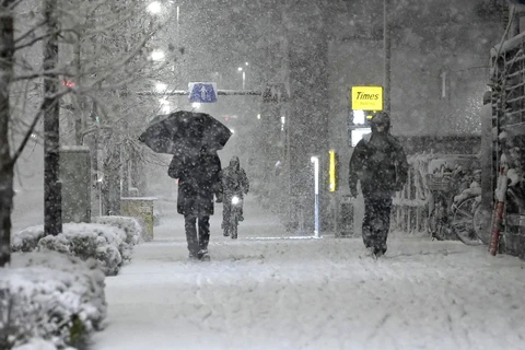 Tuyết rơi dày tại Tokyo, Nhật Bản ngày 5/2/2024. Ả(nh: Kyodo/TTXVN)