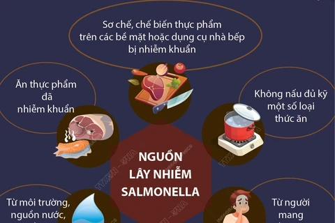 Cảnh giác với sự nguy hiểm của vi khuẩn Salmonella 