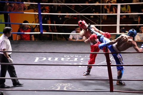 Trận chung kết nam nội dung Lowkick. (Ảnh: Đoàn Mạnh Dương/TTXVN)