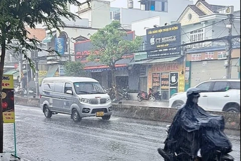 (Ảnh minh họa: Hồng Giang/TTXVN)