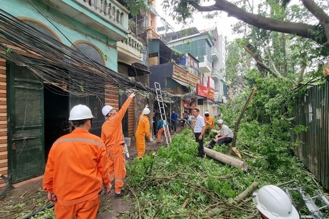 Cây trên phố Vũ Hữu (quận Thanh Xuân, Hà Nội) bị đổ làm gãy cột điện. (Ảnh: Linh Khánh-TTXVN)
