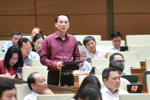 Đại biểu Quốc hội Lưu Bá Mạc phát biểu tại Quốc hội sáng 29/5.
