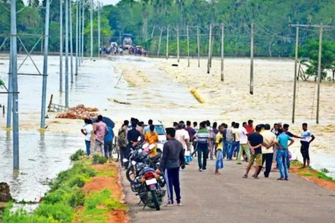Nước lũ tràn qua một con đường ở quận Hojai, Assam (Ảnh: PTI)
