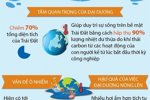 Ngày Đại dương thế giới 8/6: “Hiểu biết sâu sắc hơn về đại dương” 