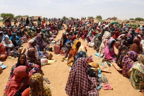 Người tị nạn Sudan sơ tán tránh xung đột tại các trại tạm ở Koufroun, CH Chad. (Ảnh: Reuters)