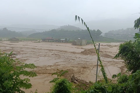 Khoảng 1.000ha lúa, cỏ chăn nuôi, ao cá tại 28 xã trên địa bàn huyện Thuận Châu bị ngập, nhiều căn nhà bị cuốn trôi, một số tuyến đường bị ngập, sạt lở. (Ảnh: TTXVN phát)