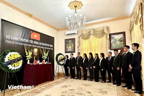 Tập thể cán bộ Đại sứ quán Việt Nam tại Hungary trong Lễ viếng Tổng Bí thư Nguyễn Phú Trọng. (Ảnh: Hoàng Linh/Vietnam+)