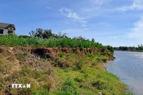 Bờ sông Thạch Hãn bị sạt lở nghiêm trọng lấn sâu vào đất sản xuất của người dân. (Ảnh: Nguyên Lý/TTXVN)