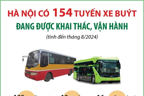 Hà Nội: Mạng lưới xe buýt đã phủ kín tất cả quận, huyện, thị xã