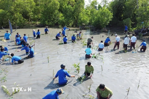 150 đoàn viên thanh niên tích cực tham gia trồng cây xanh để góp phần hướng đến mục tiêu "Vì một Việt Nam xanh". (Ảnh: Huỳnh Anh/TTXVN)