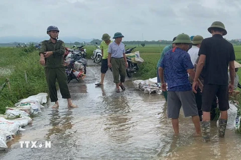 Lực lượng chức năng cùng người dân xã Xuân Giang (Sóc Sơn, Hà Nội) đắp bờ chống lũ tràn từ sông Cầu, bảo vệ lúa, hoa màu. (Ảnh: TTXVN phát)