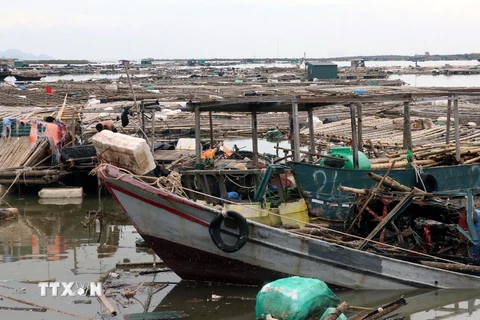 Tàu, lồng bè nuôi của người dân xã Tân An, thị xã Quảng Yên, bị hư hỏng nặng. (Ảnh: Văn Đức/TTXVN)