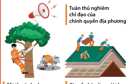 Thực hiện sớm các biện pháp nhằm giảm thiểu thiệt hại do mưa bão