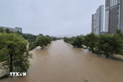 Mực nước dâng cao sau những trận mưa lớn tại Daejeon, Hàn Quốc, ngày 21/9/2024. (Ảnh: Yonhap/TTXVN)