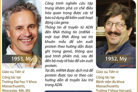 Hai nhà khoa học Mỹ được vinh danh với Giải Nobel Y sinh 2024