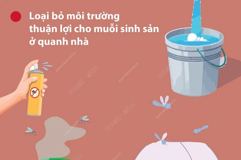 Những biện pháp phòng, chống sốt xuất huyết hiệu quả