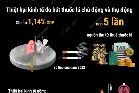 Thiệt hại kinh tế do hút thuốc lá gấp 5 lần thuế thuốc lá mang lại