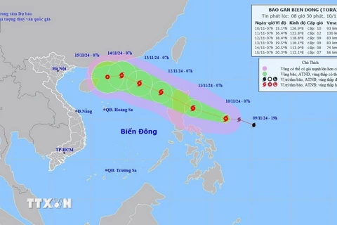 Đường đi của bão số 8, lúc 7 giờ ngày 12/11/2024. (Ảnh: TTXVN phát)