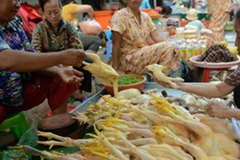 Campuchia phát hiện thêm trường hợp nhiễm virus H5N1