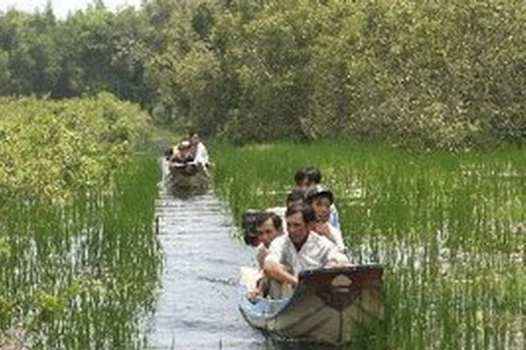 Du khách tham quan rừng tràm Trà Sư, huyện Tịnh Biên, An Giang. (Ảnh: Nhật Anh/TTXVN)