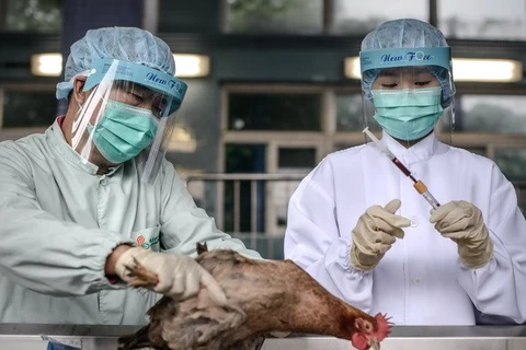 Trung Quốc phát hiện thêm ca nhiễm virus cúm H7N9