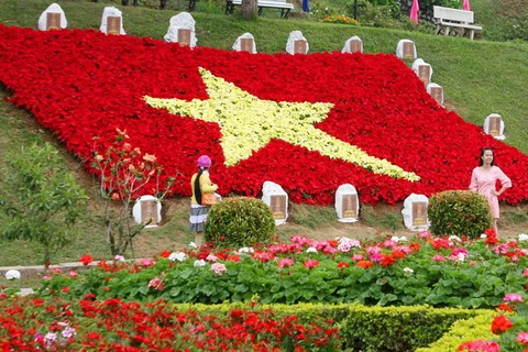 Đà Lạt: Hình ảnh Bác Hồ, cờ Tổ Quốc bằng hoa tươi