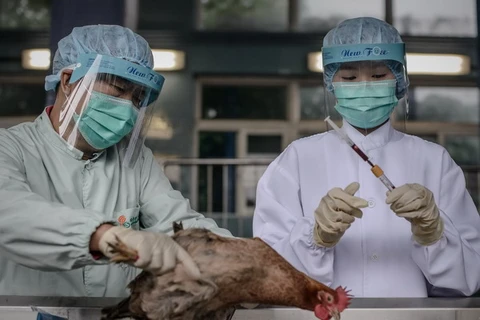 Trung Quốc phát hiện thêm bệnh nhân nhiễm cúm H7N9