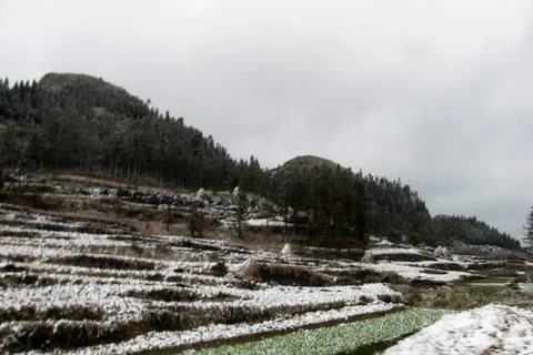 Tuyết và băng giá lại phủ trắng cao nguyên đá Đồng Văn