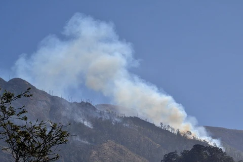 Đắk Nông: Đã khống chế được đám cháy ở rừng phòng hộ