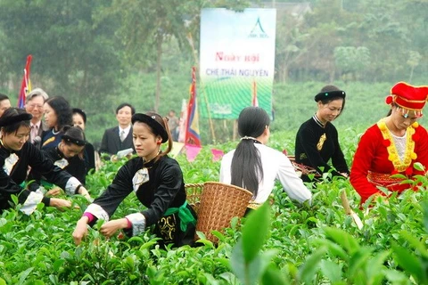 Đặc sắc Lễ hội "Võ Nhai nơi cội nguồn" ở Thái Nguyên